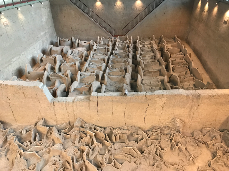 A sacrificial pit of chariots and horses of the Jin State